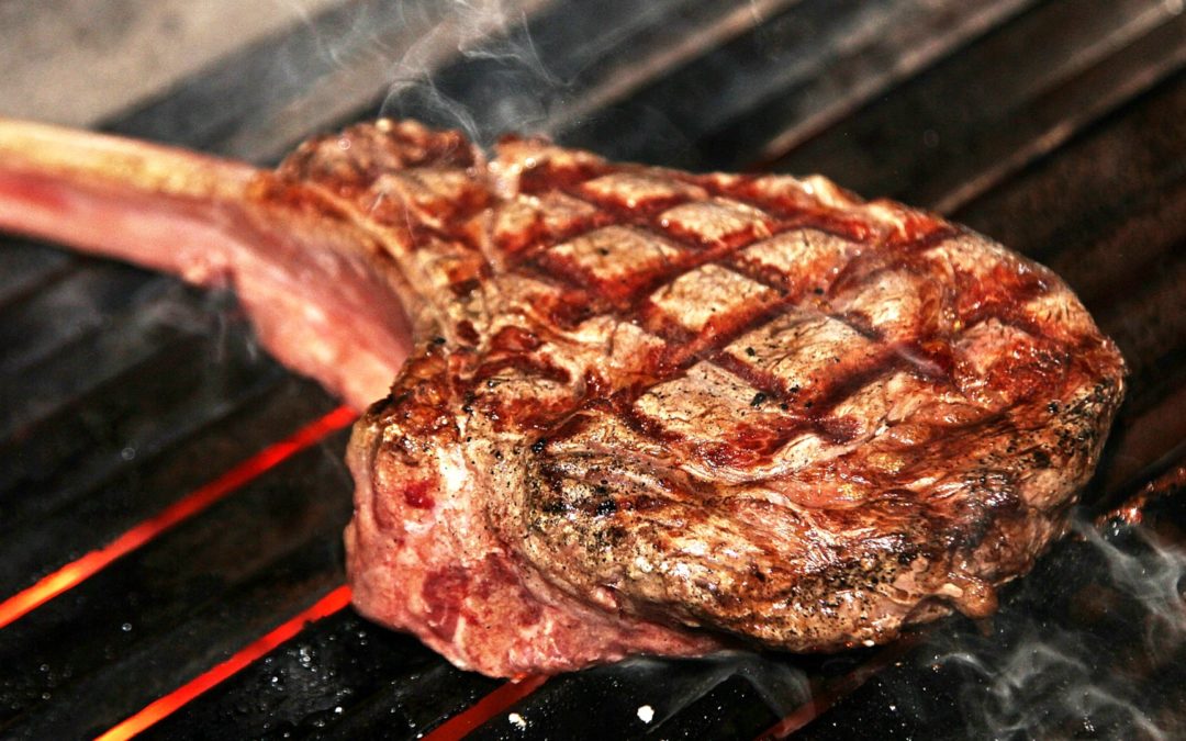 Dieta carnivore – śladami mięsożerców