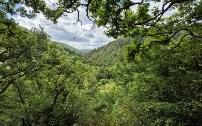 Szlakiem Escapardenne, cz.1 – Lee Trail